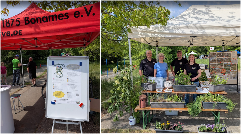 Erfolgreiches Grüngürtelfest